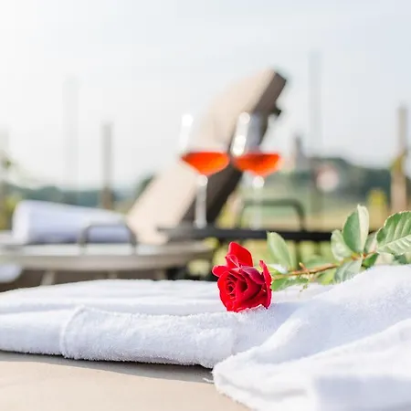 Wohnen Im Wein * Ehrenhausen