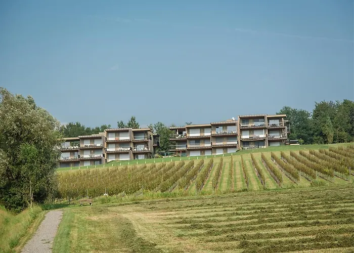 Wohnen Im Wein Ehrenhausen